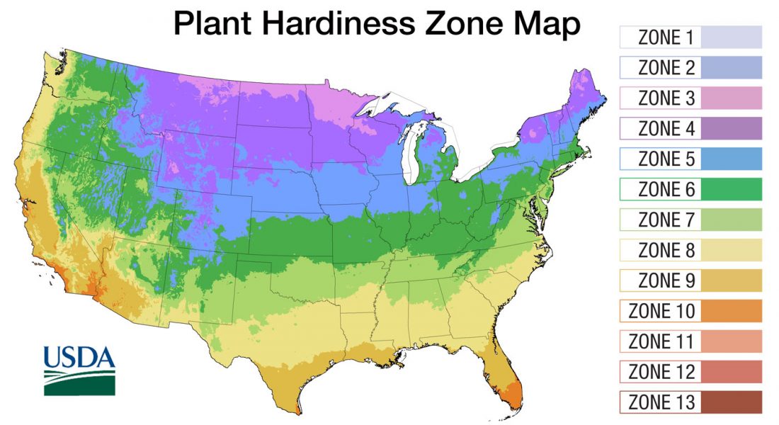 What is a Hardiness Zone? LawnCentral