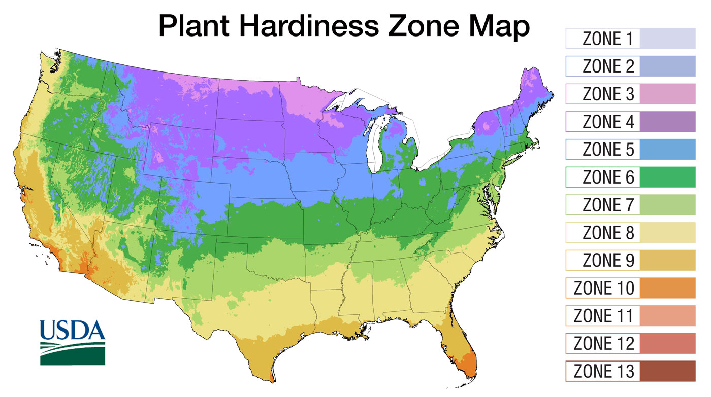 What is a Hardiness Zone? LawnCentral