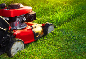 Summer Lawn Care