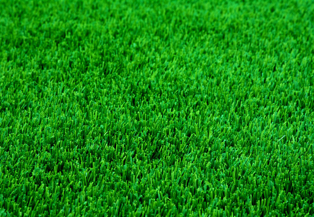 Perennial Ryegrass Sod Closeup