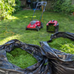 Mulch vs Bagging your Grass Clippings