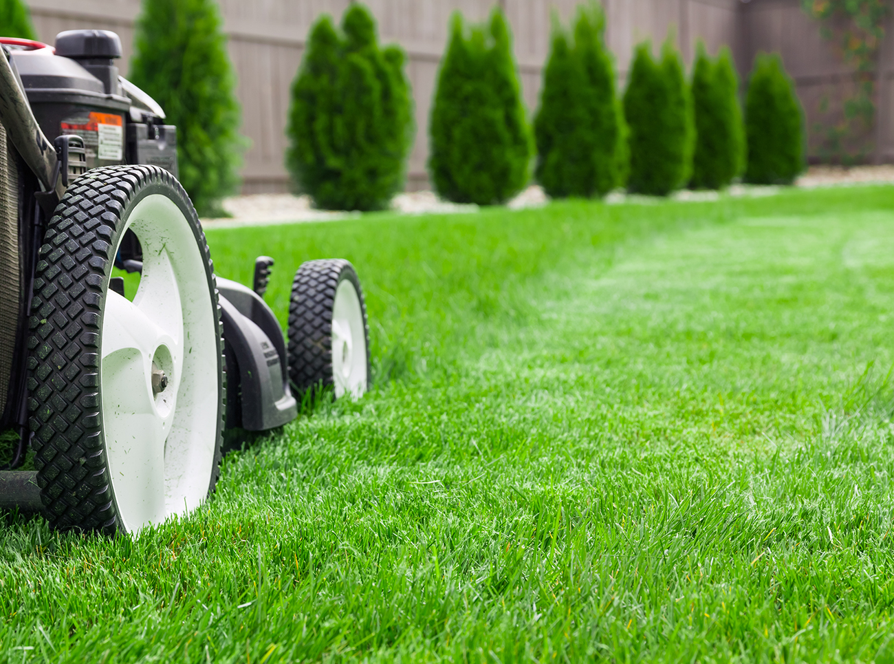 Care for your lawn - LawnCentral