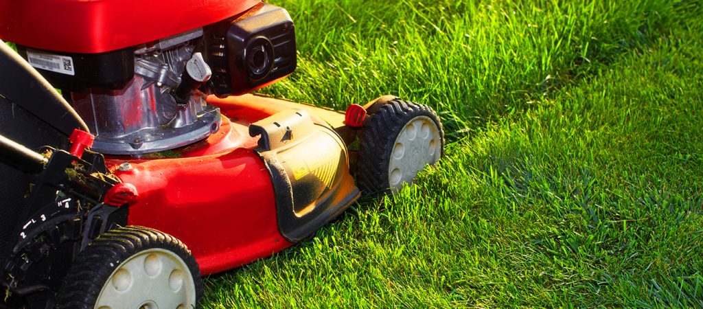 Summer Lawn Care