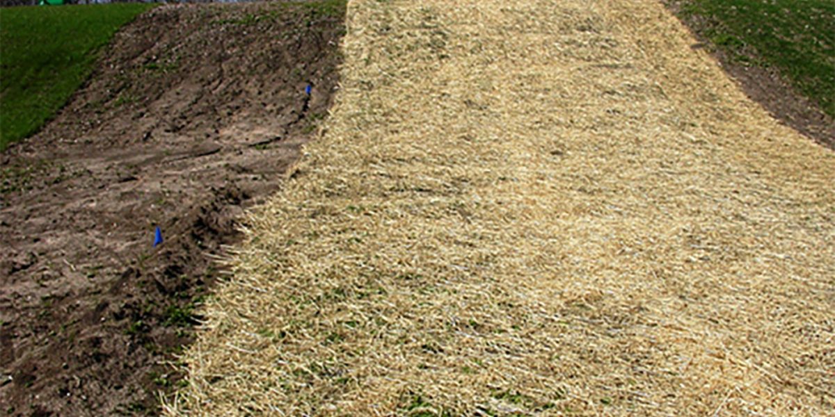 Dormant Sod or often called winter sod