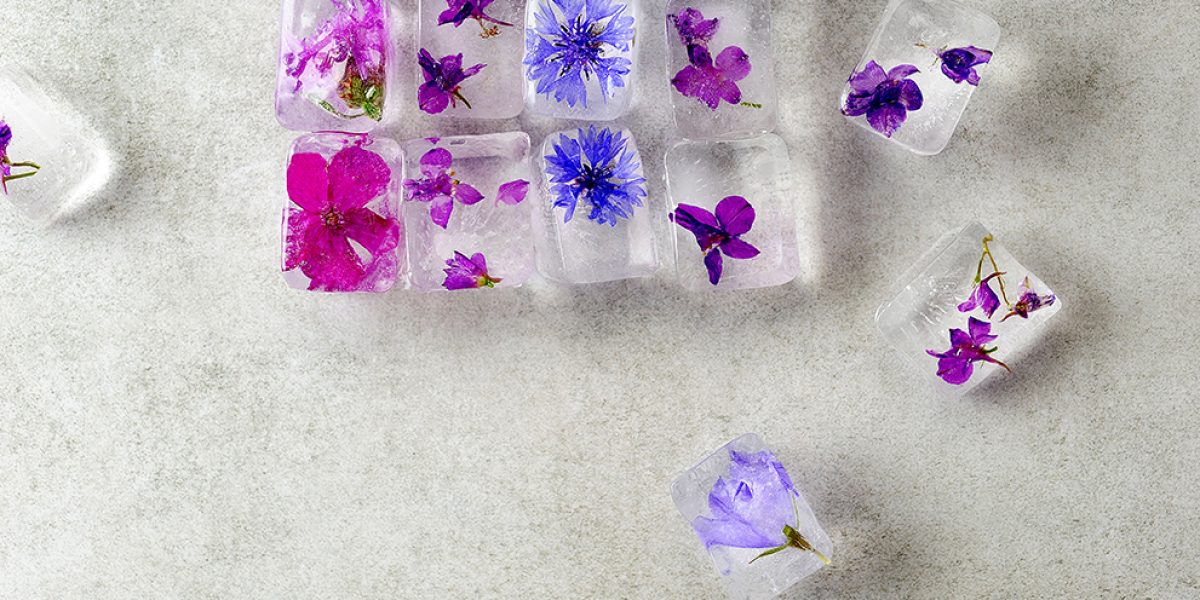 Floral ice cubes on gray background, top view. Edible flowers frozen in ice cubes. Horizontal with space for text.