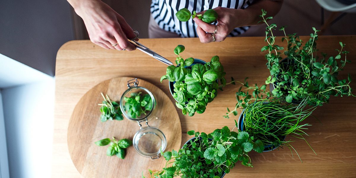 Top view of unrecognizable woman indoors at home, cutting green herbs.