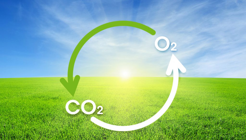 air_quality air_quality