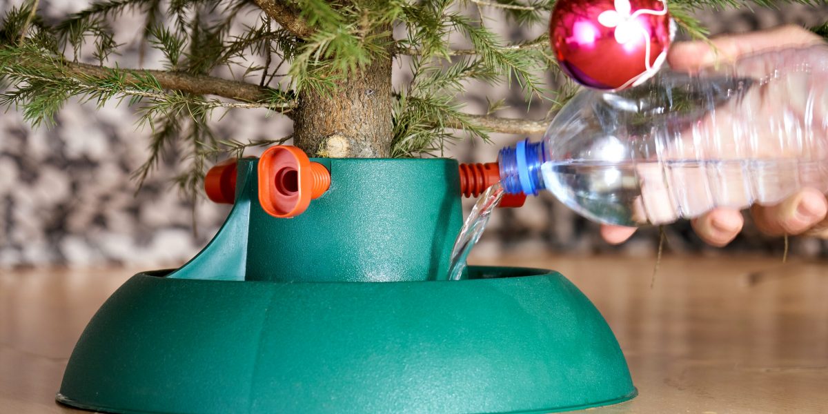 Male hand pouring water into the plastic stand for decorated organic Christmas tree from a plastic bottle in New Year eve in the city flat