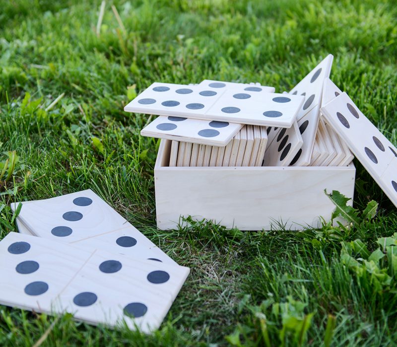 domino1 domino1
