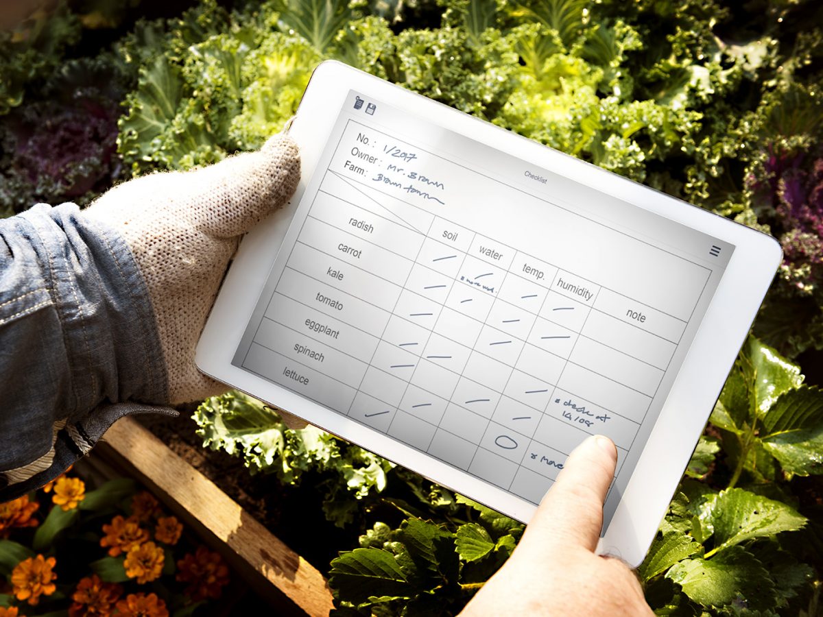 Man,Holding,Tablet,Control,Crop,Plan,List Man Holding Tablet Control Crop Plan List
