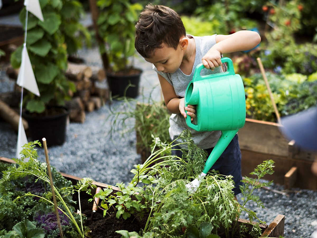 Children are in the garden watering the plants