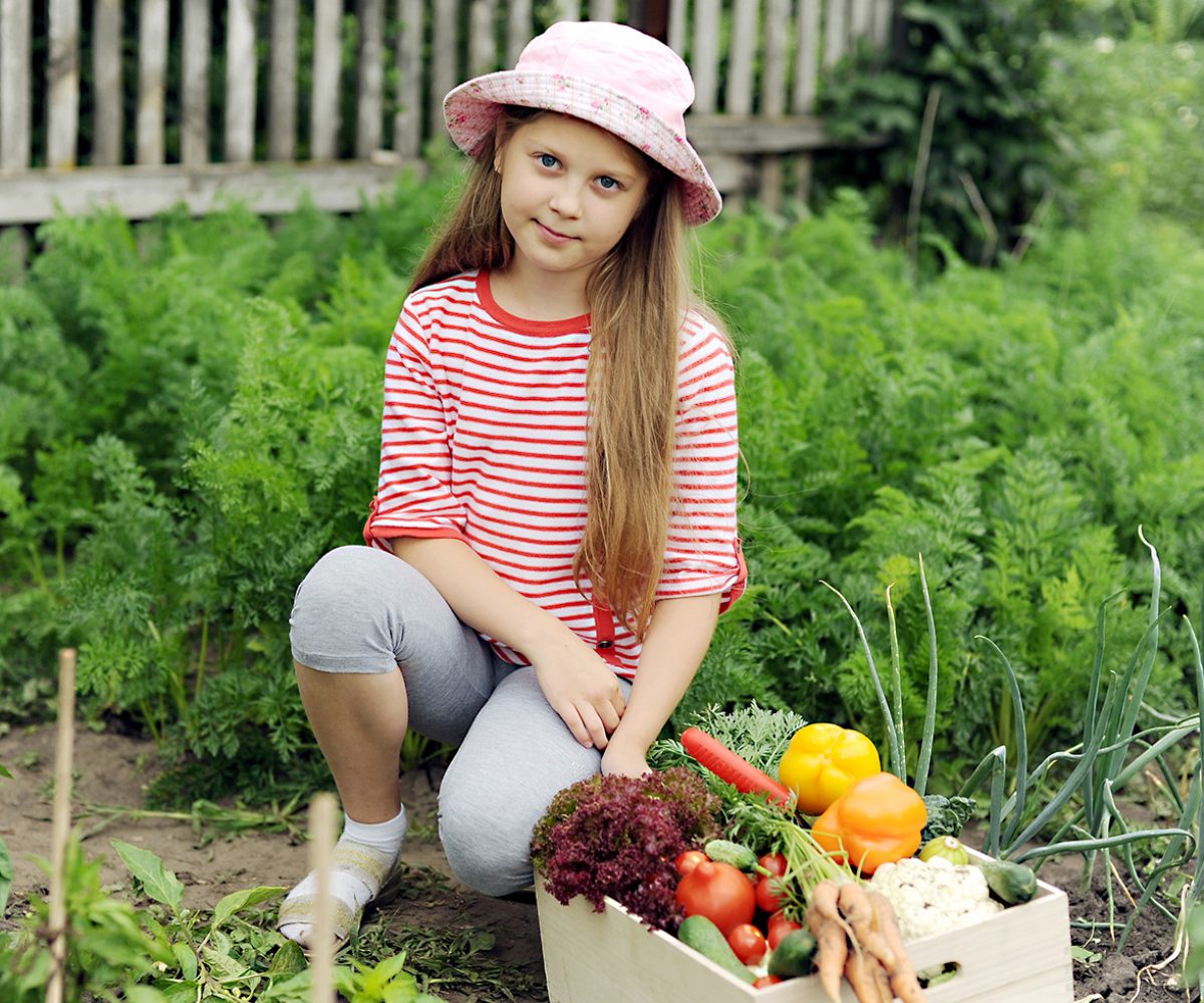 A girl with a box of vegetables in the garden