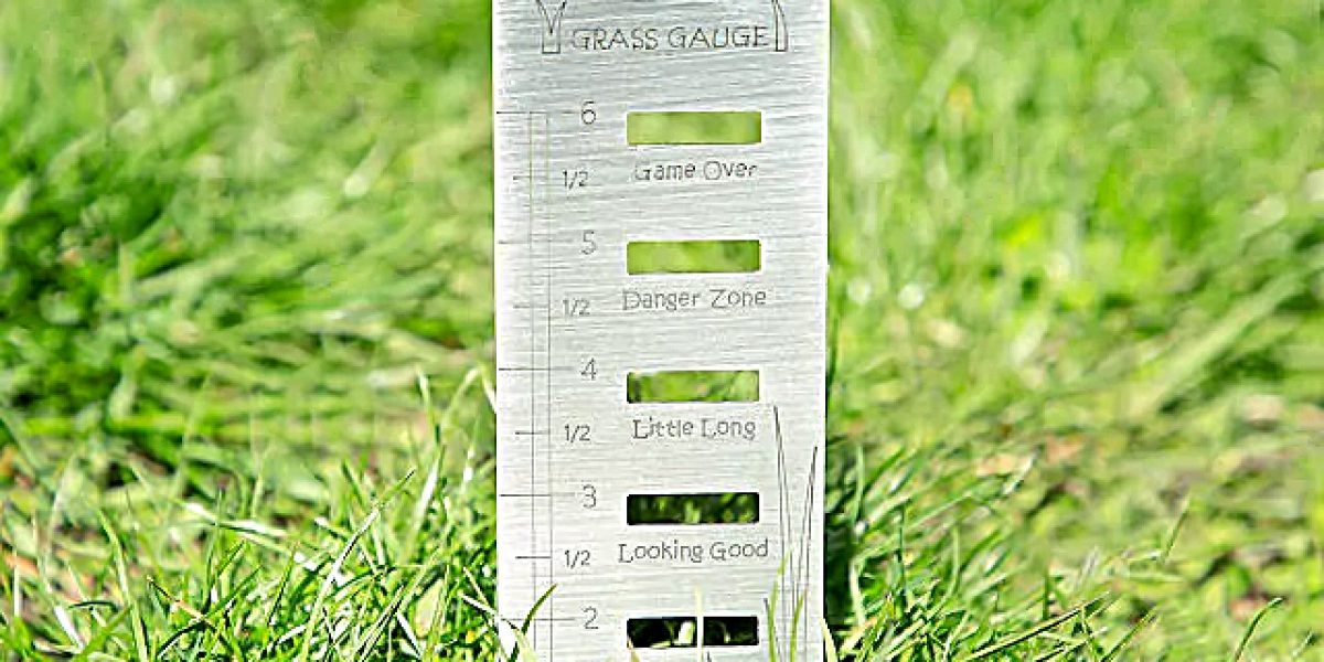 grass gauge2