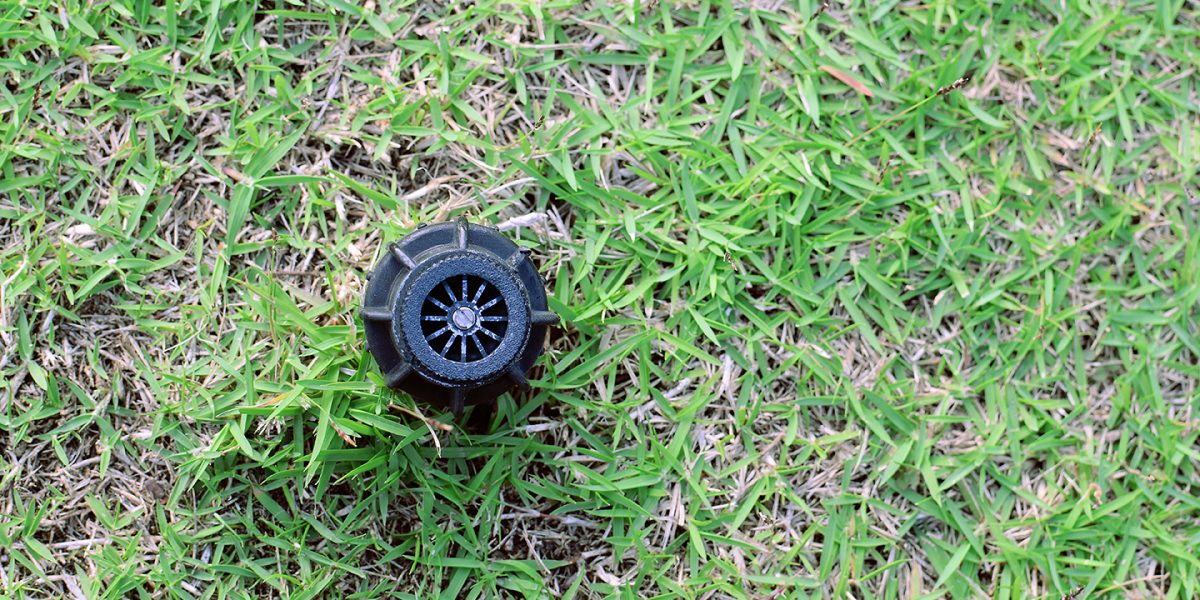 Sprinkler working on a green grass lawn