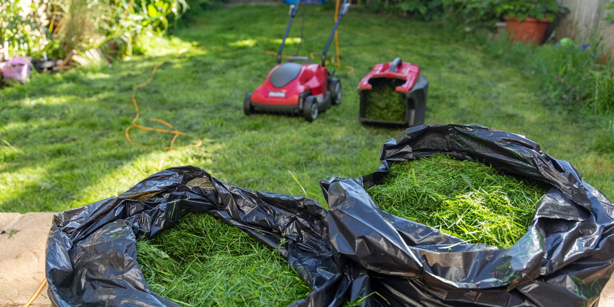 Mulch vs Bagging your Grass Clippings