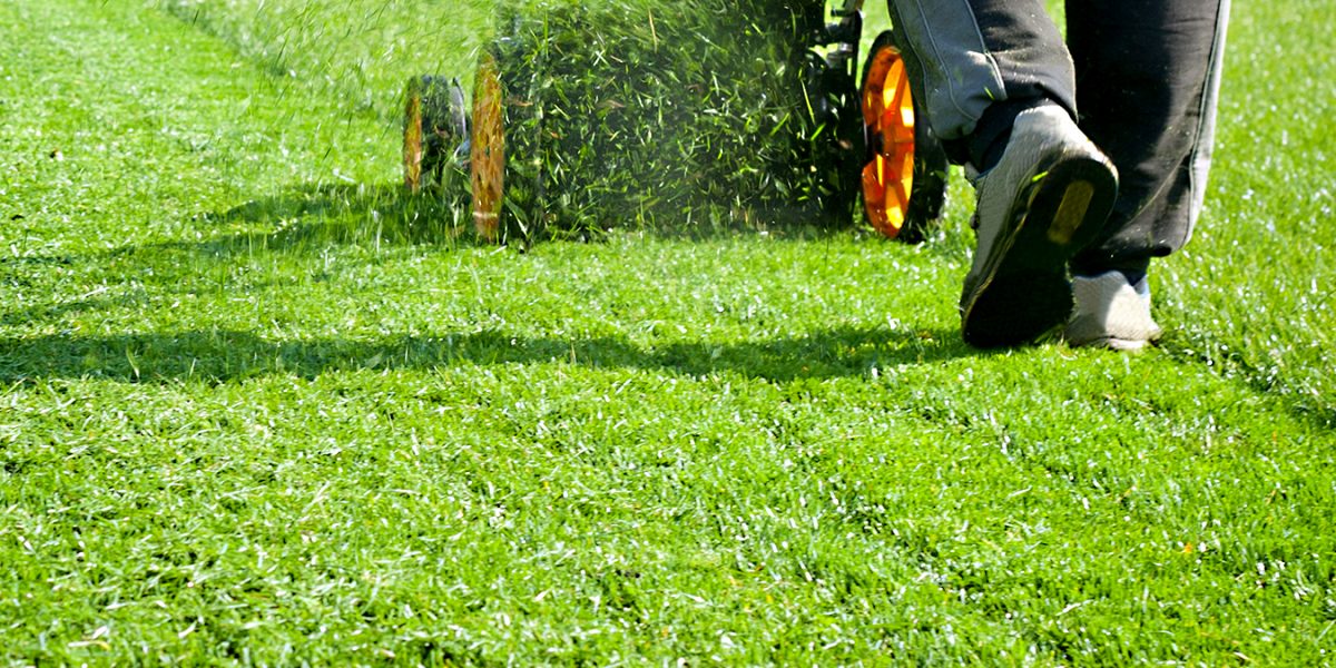 Closeup of a woman mowing the grass with lawn mower.