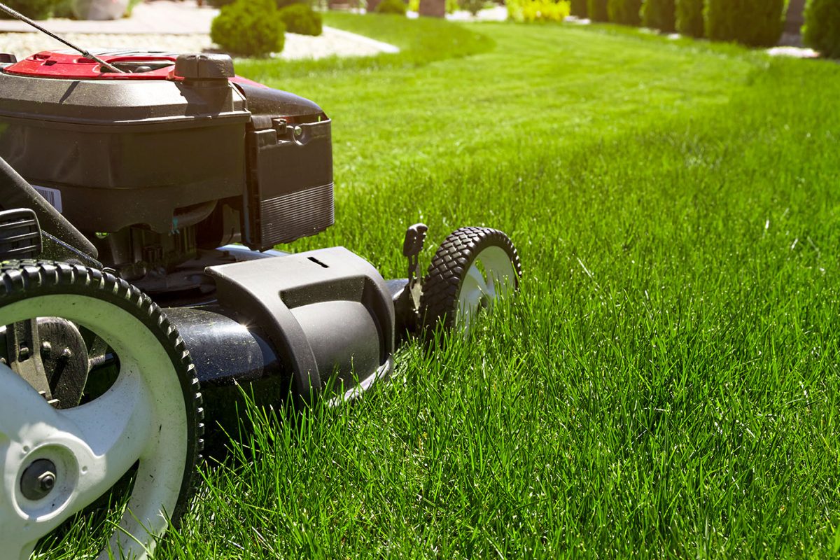 Lawn mower on green grass