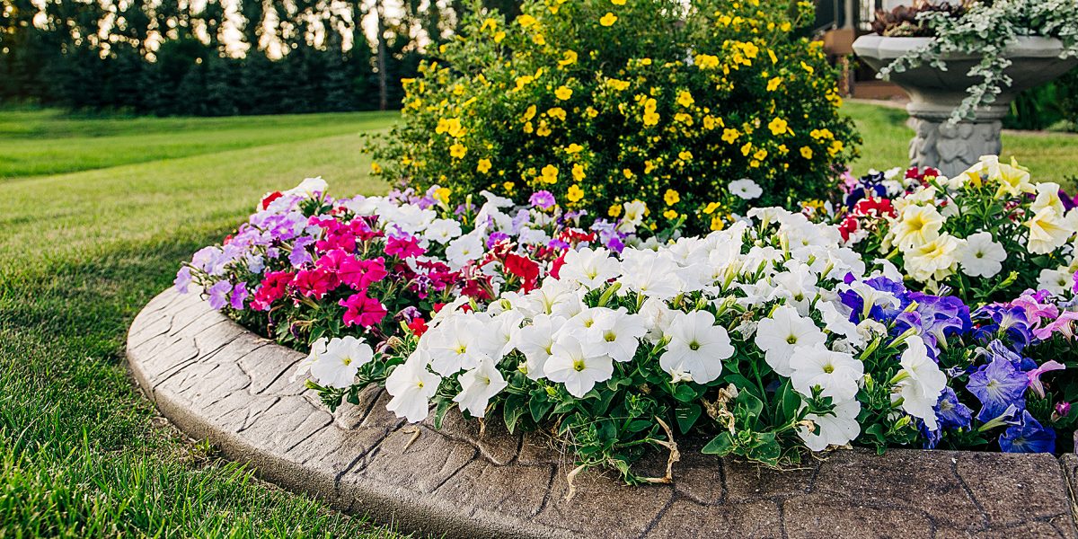 home house curb appeal Flower beds garden Blooming in the Spring Summer at a home