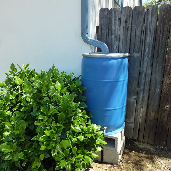 rainbarrel3