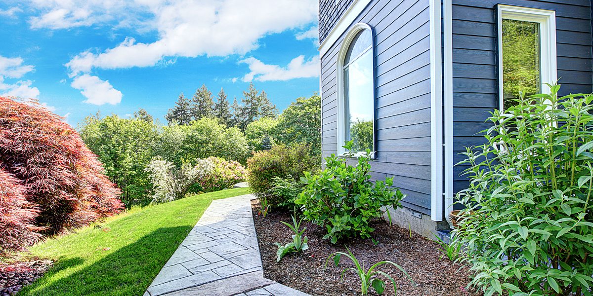 Beautiful Blue house side with walkway and green landscape.