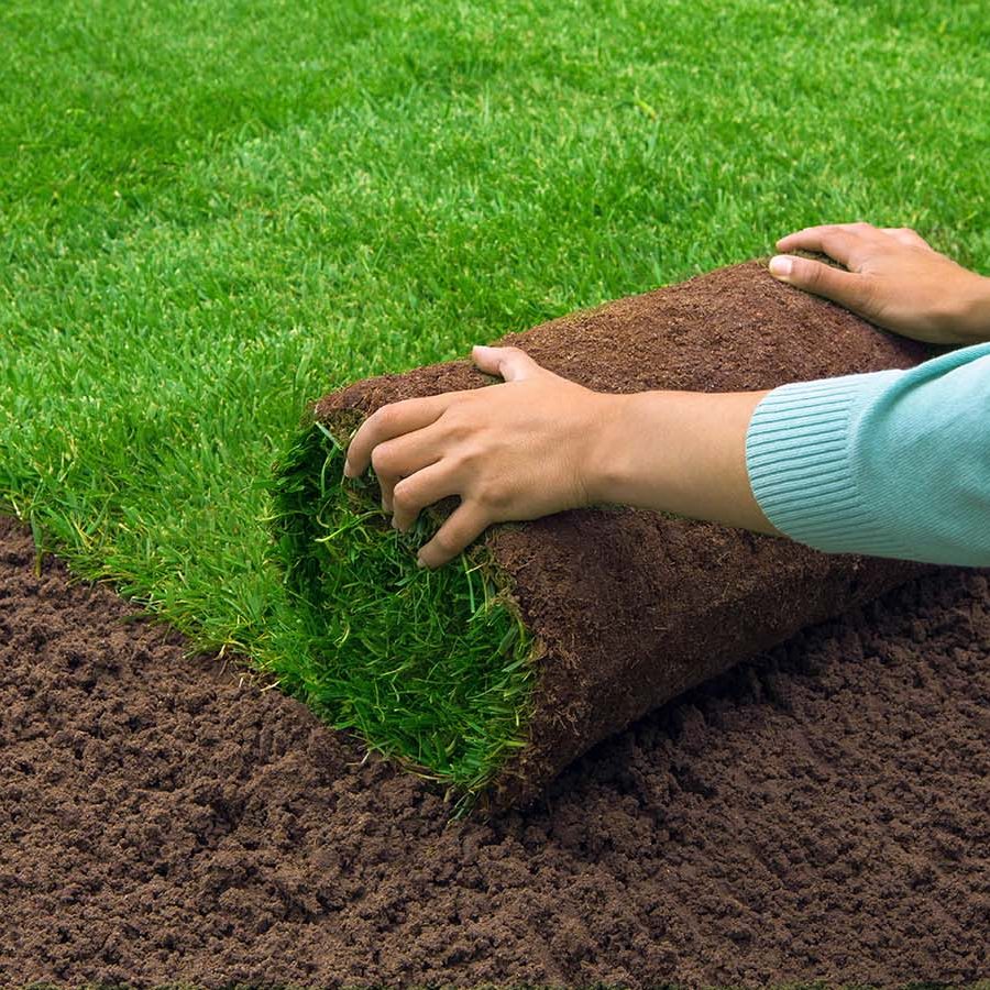 sod_laying_roll Laying Harmony Sod