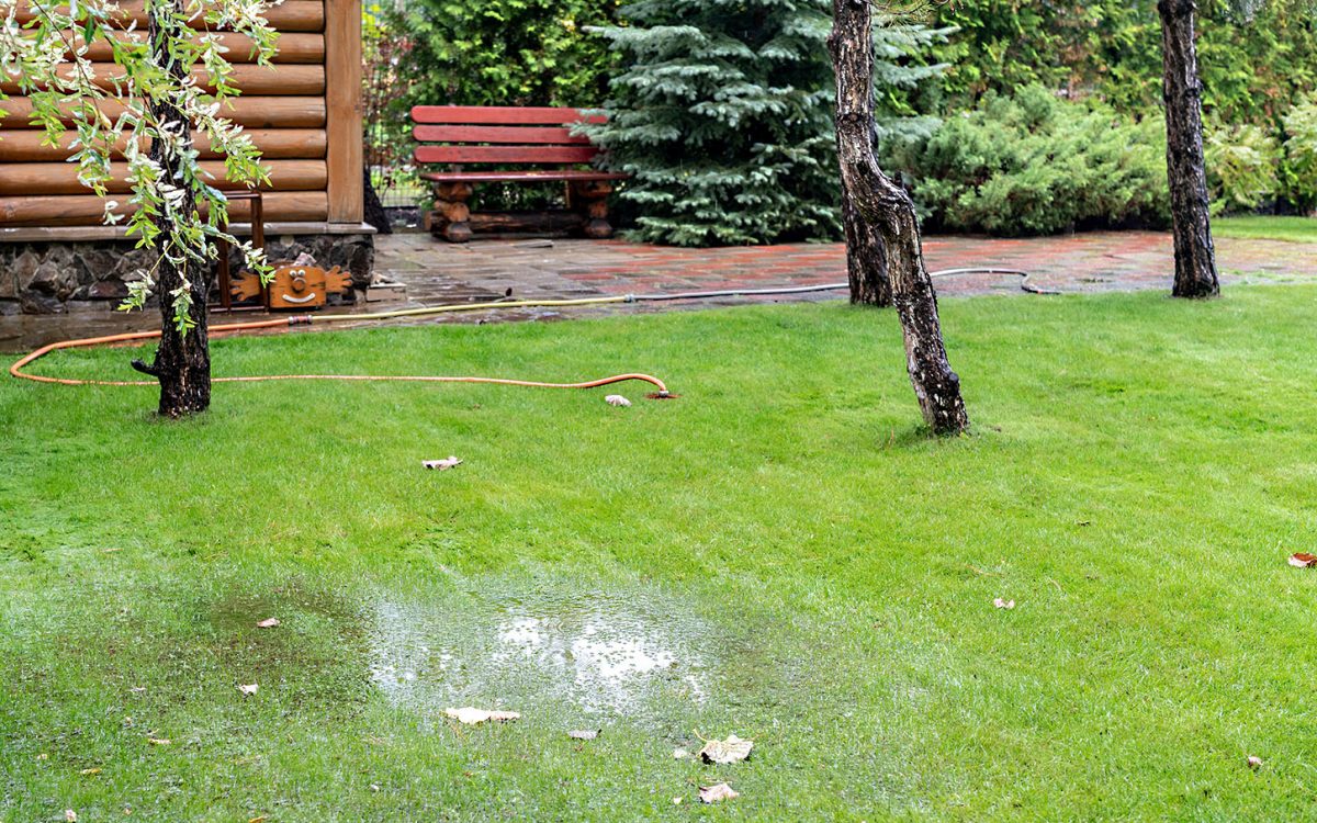 Garden bushes, tree and green grass lawn covered with water due to snow melting thaw and flash high water at spring. Natural disaster deluge flooded house backyard pathway ang greenery at countryside