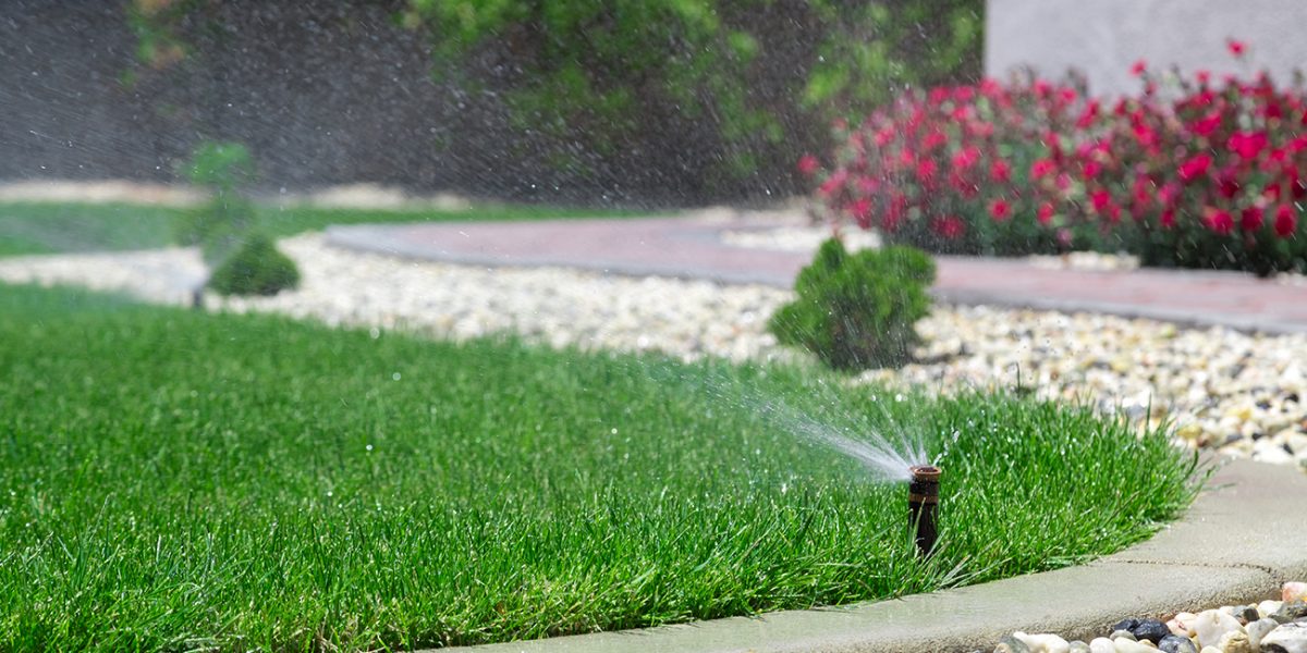 sprinkler_lawn