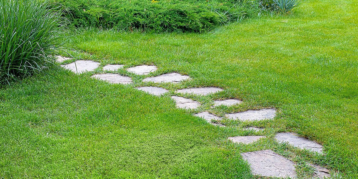 rough different shapes of natural stone path paved in the green backyard turf lawn, crescent backyard walkway landscape with bushes, nobody.